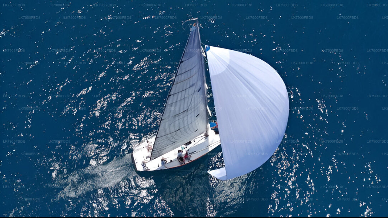 米瑞莎6晚游轮假期