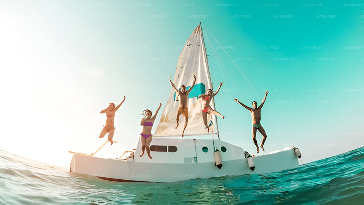 米瑞莎6晚游轮假期