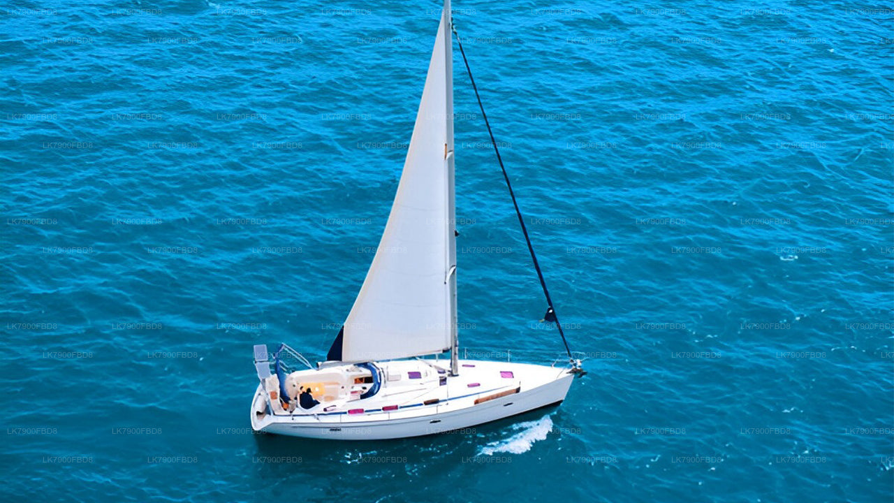 米瑞莎6晚游轮假期