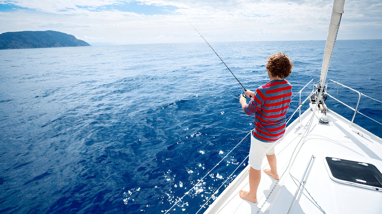 米瑞莎6晚游轮假期