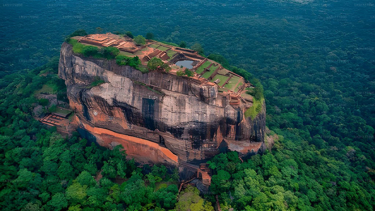 Aerial view of a large rock formation surrounded by lush greenery