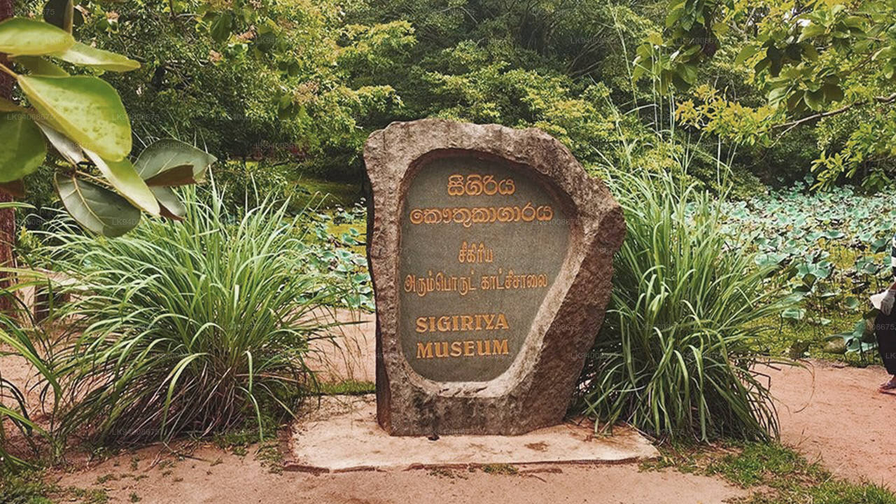 Sigiriya Museum Entrance Ticket