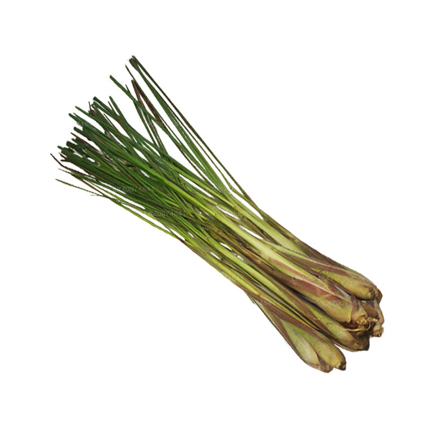 Fresh Lemongrass (柠檬草) 100g