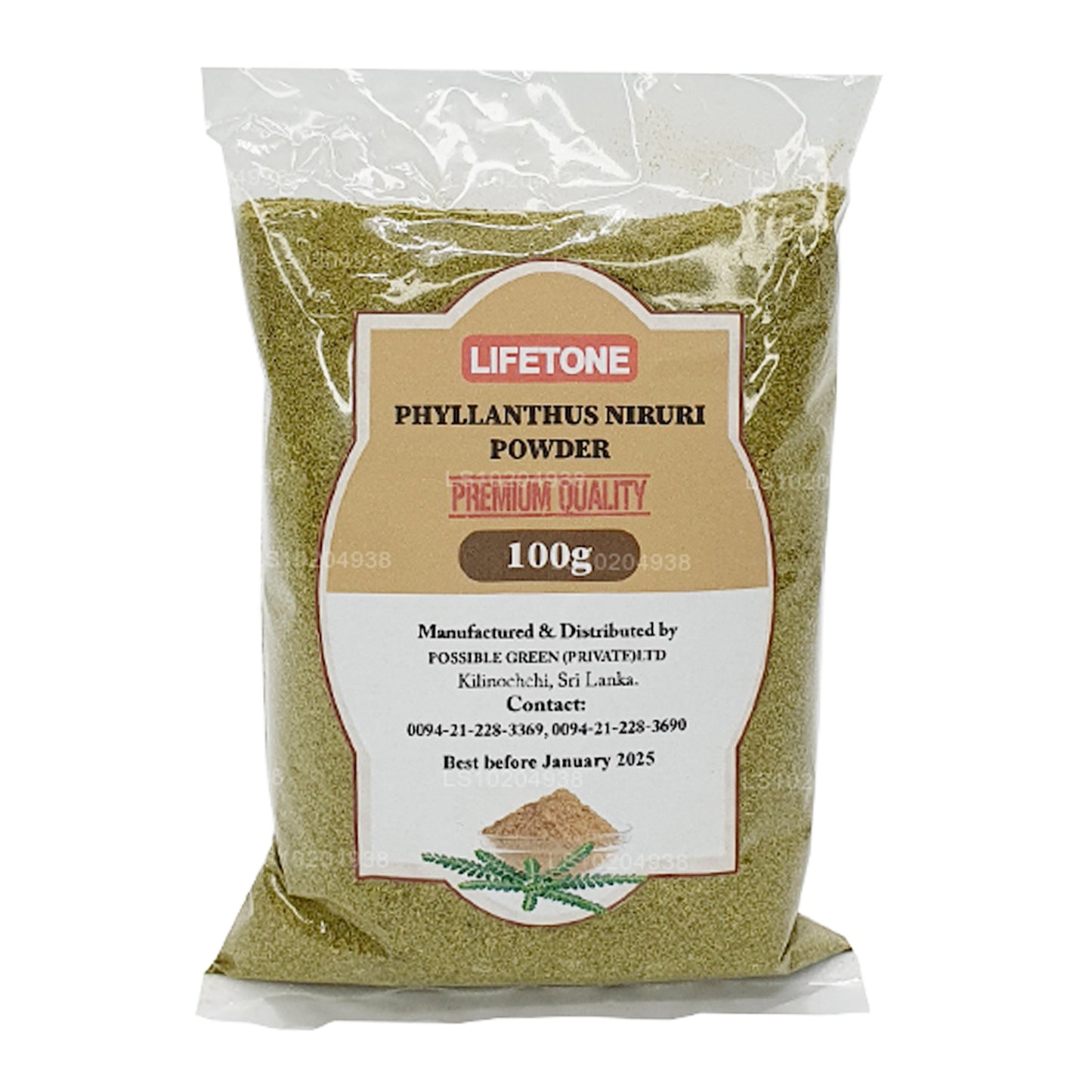 Lifetone Phylanthus Niruri 粉末 (100 g)