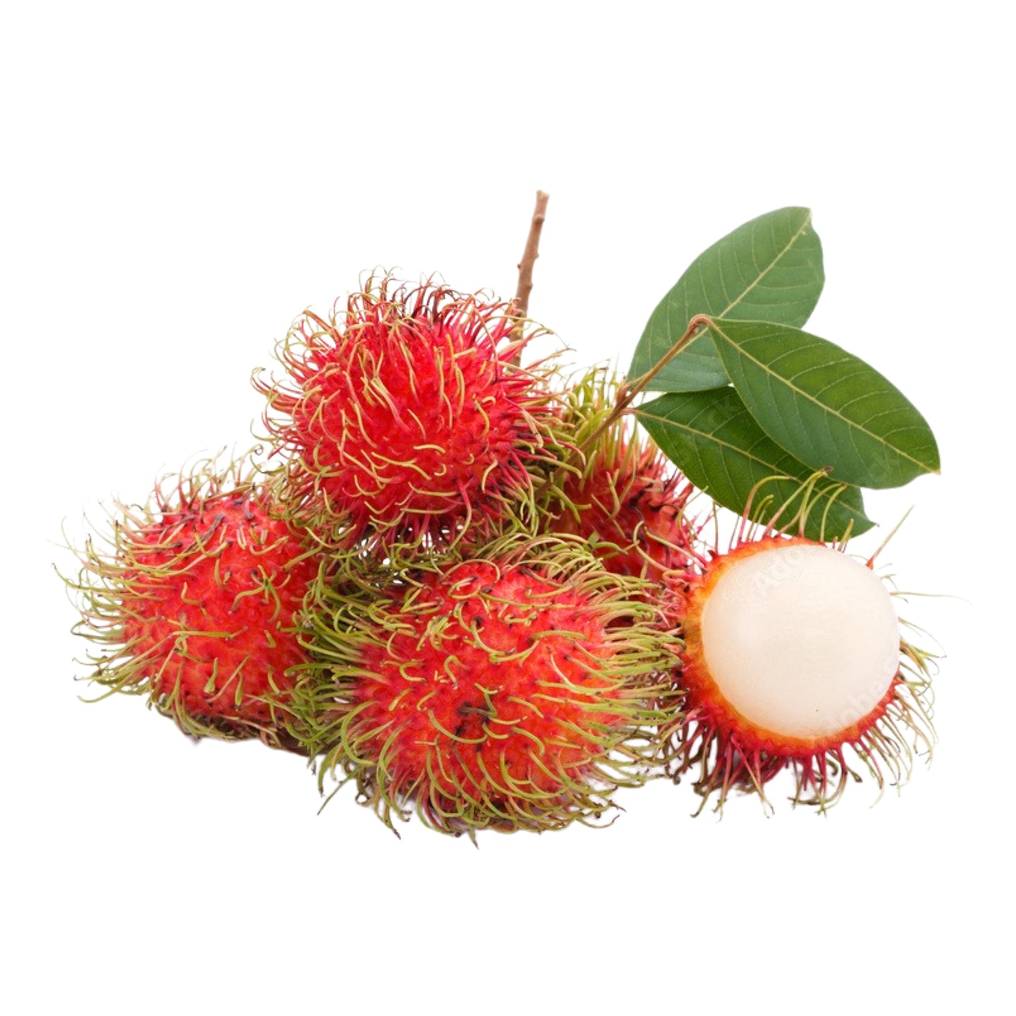 Lakpura Rambutan Fruit