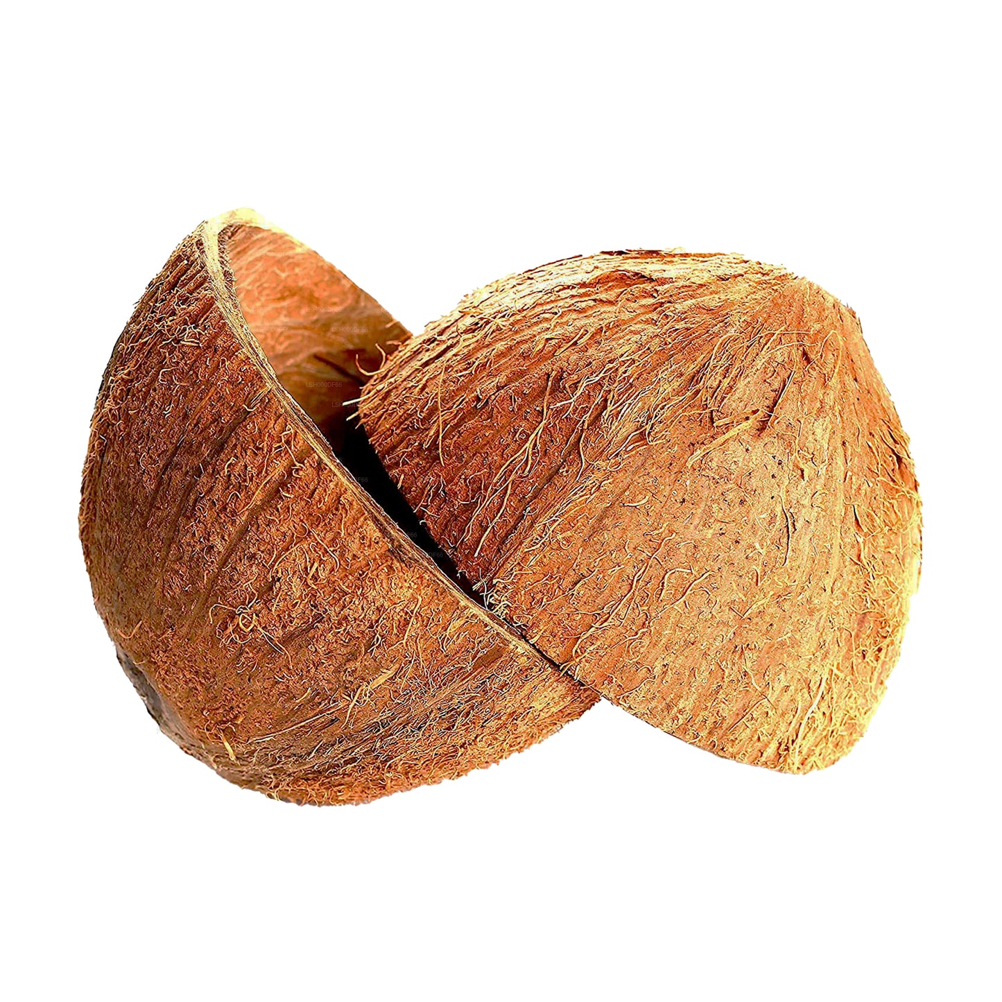 椰壳半块（2 个）