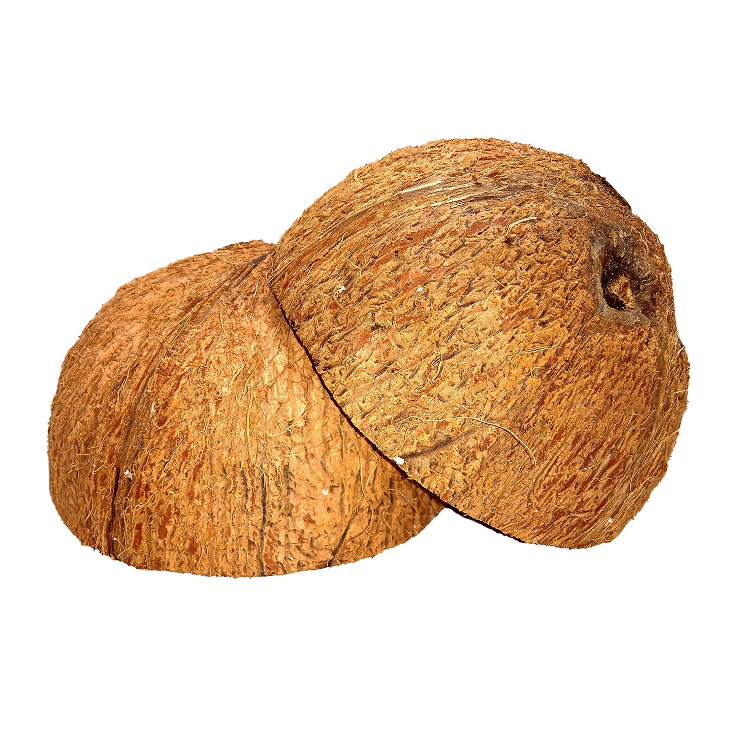 椰壳半块（2 个）