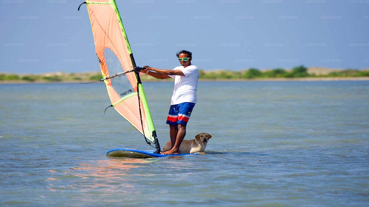 4 hour Windsurfing Course for Kids from Kalpitiya