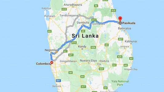 Colombo City to Pasikuda City Private Transfer