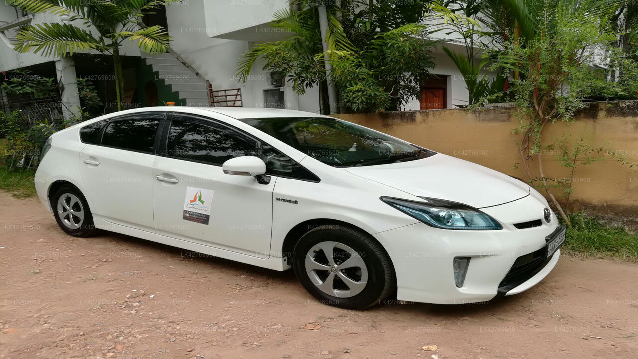 Udawalawe City to Mirissa City Private Transfer