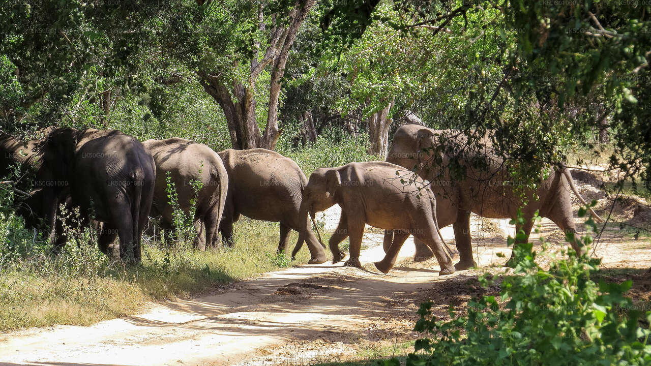 库马纳国家公园私人野生动物园