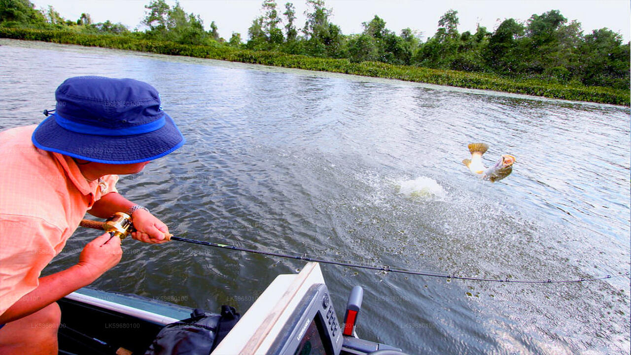 Freshwater Fishing from Bolgoda Lake