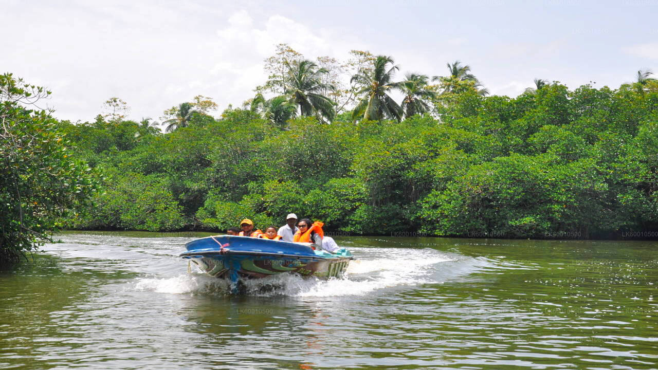 Bentota City Tour from Ahangama