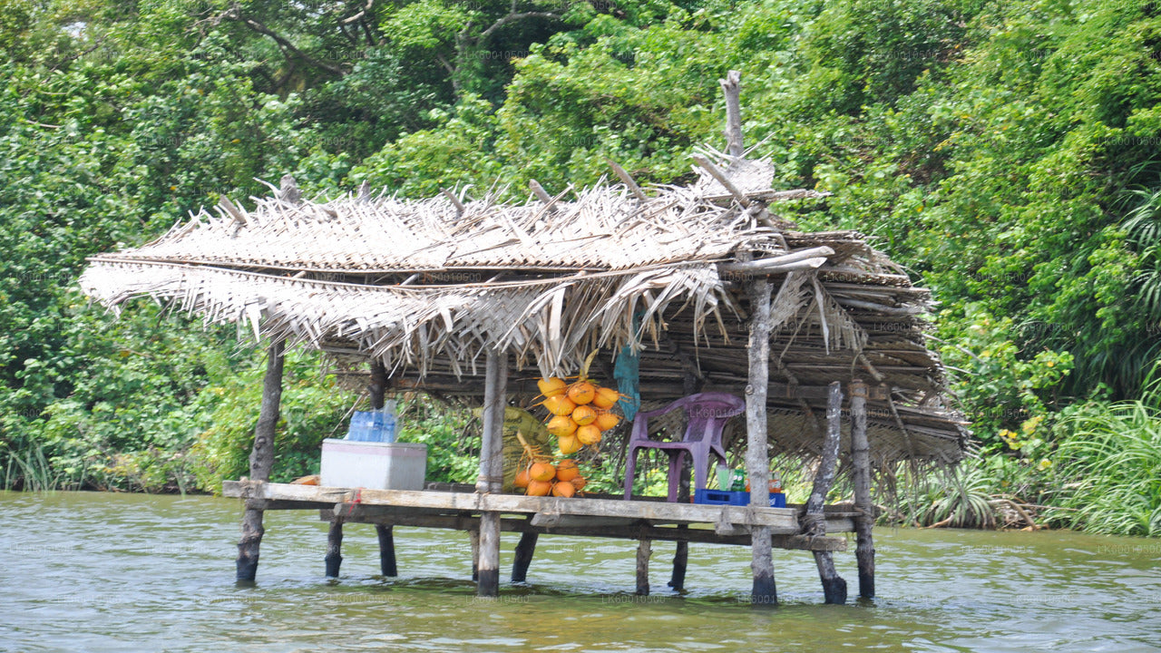 Bentota City Tour from Ahangama