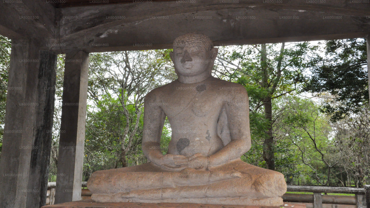 丹布拉出发，阿努拉德普勒佛教圣像之旅