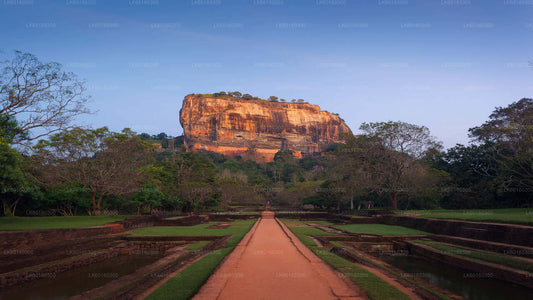 来自卡卢特勒的 Sigiriya Rock 和 Dambulla Cave
