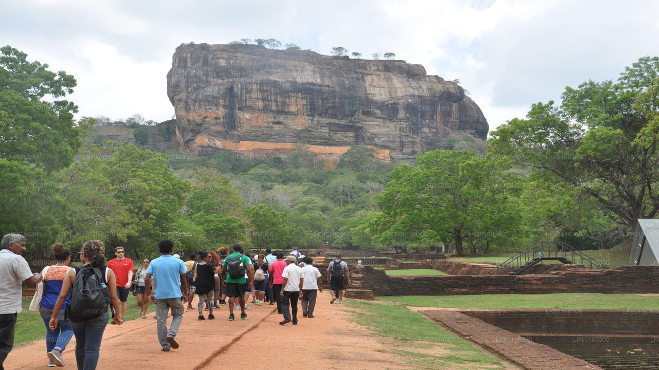 来自卡卢特勒的 Sigiriya Rock 和 Dambulla Cave