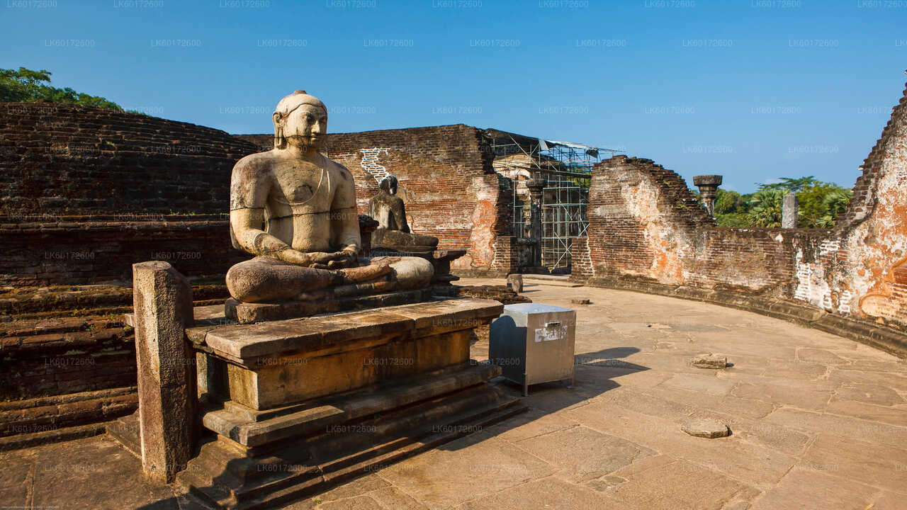 Polonnaruwa Ancient Kingdom and Wild Elephant Safari from Kandy