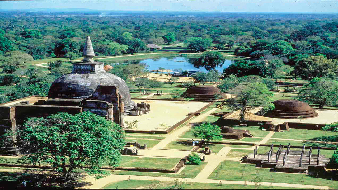 Polonnaruwa Ancient Kingdom and Wild Elephant Safari from Kandy