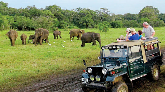 从科加拉出发的邦达拉国家公园野生动物园
