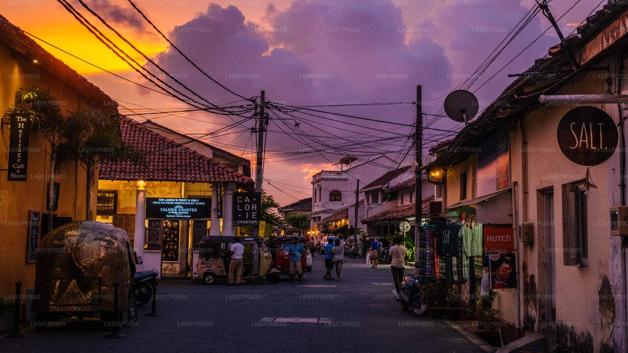 Coastal Ride to Galle from Negombo