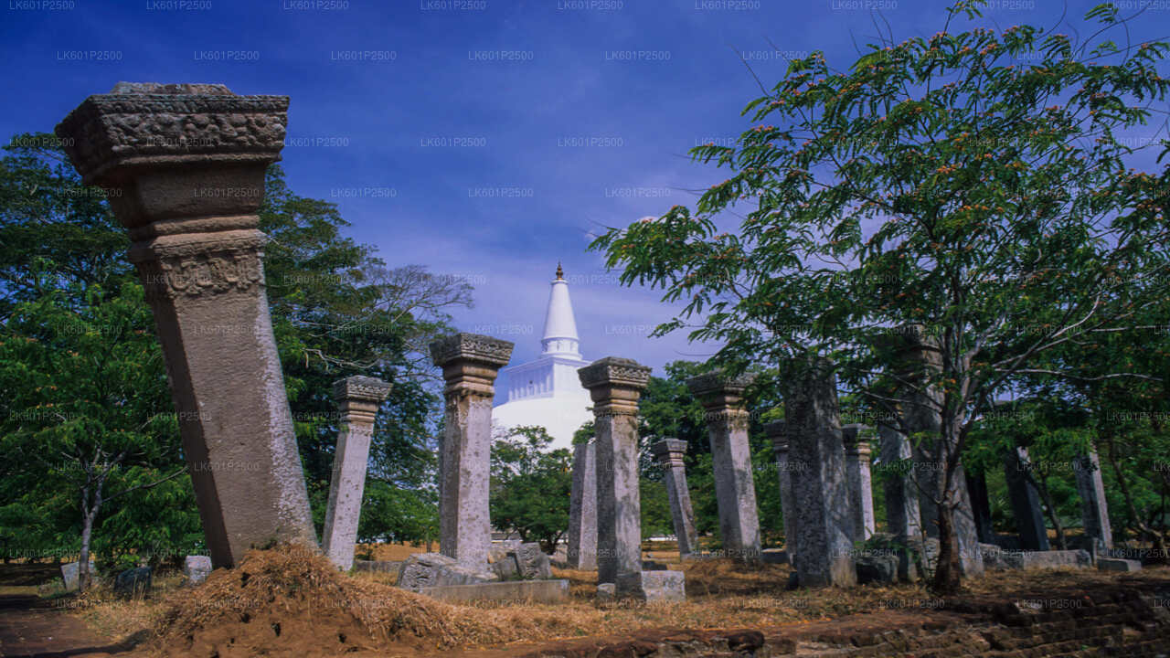 Sacred City of Anuradhapura from Negombo