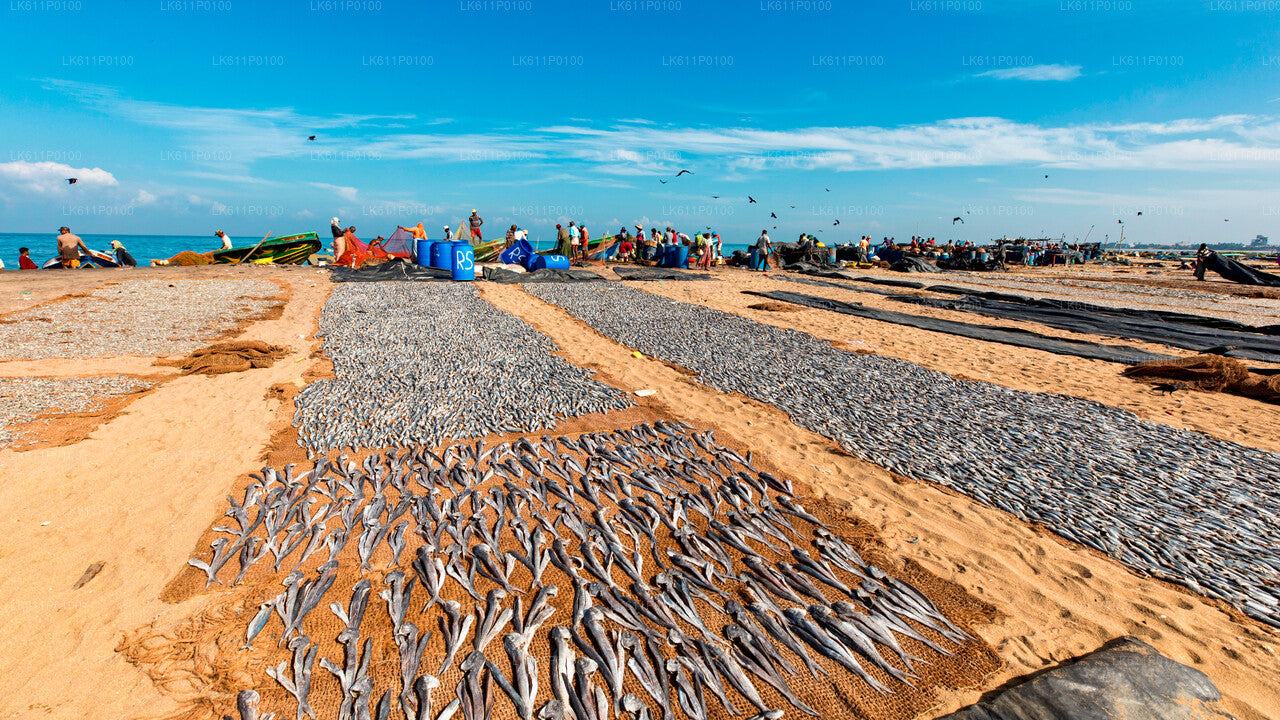 Negombo City Tour