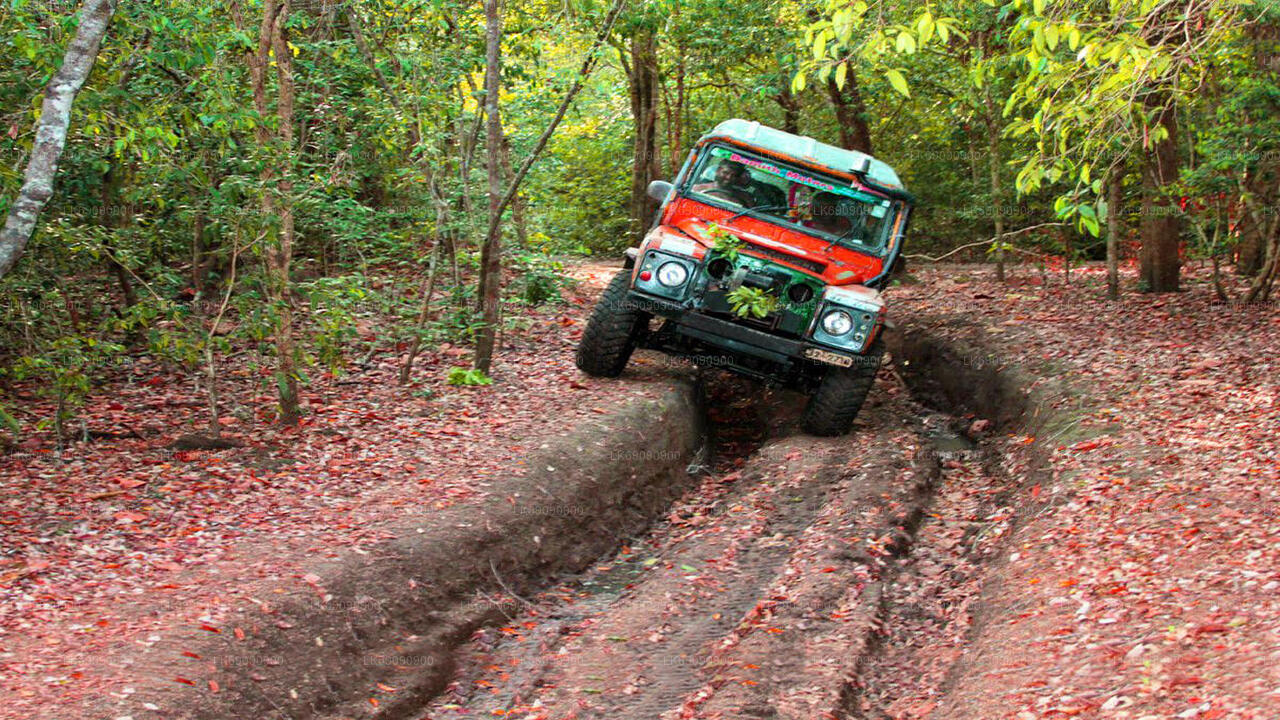 4WD Tour to Arugam Bay from Ella