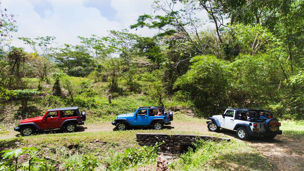 Village Tour by Classic Jeep from Habarana