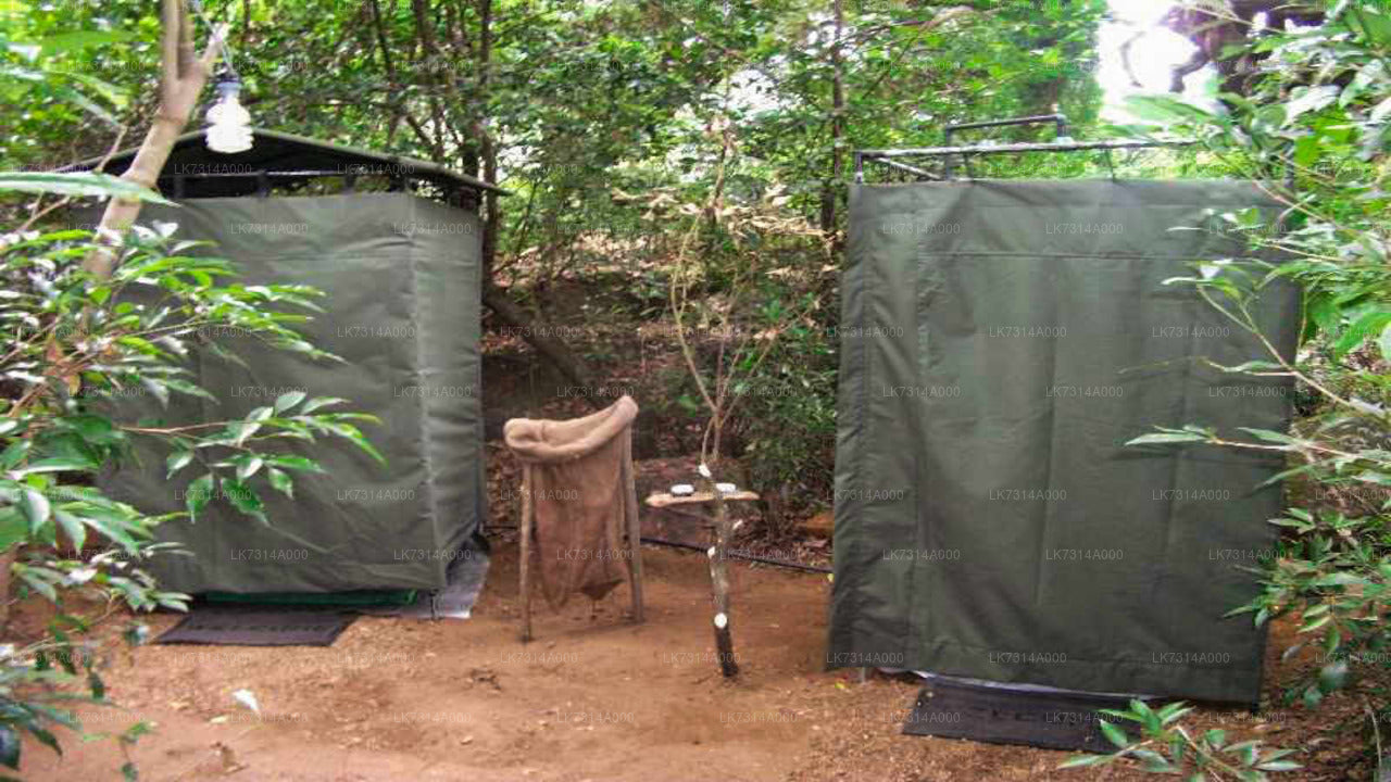 One Night Camping in Yala National Park