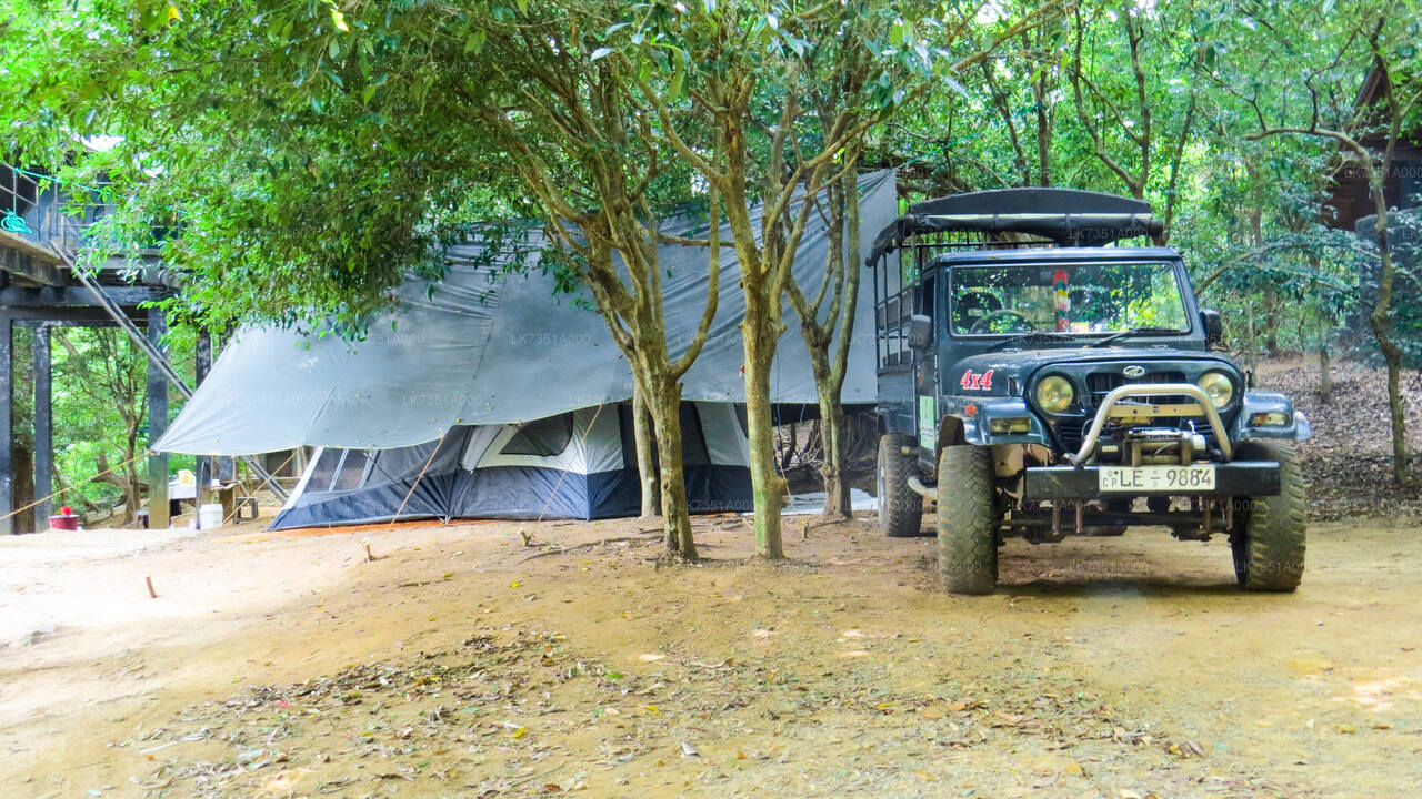 One Night Camping at Wasgamuwa National Park