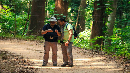 Udawattakele Forest Reserve Hike from Kandy