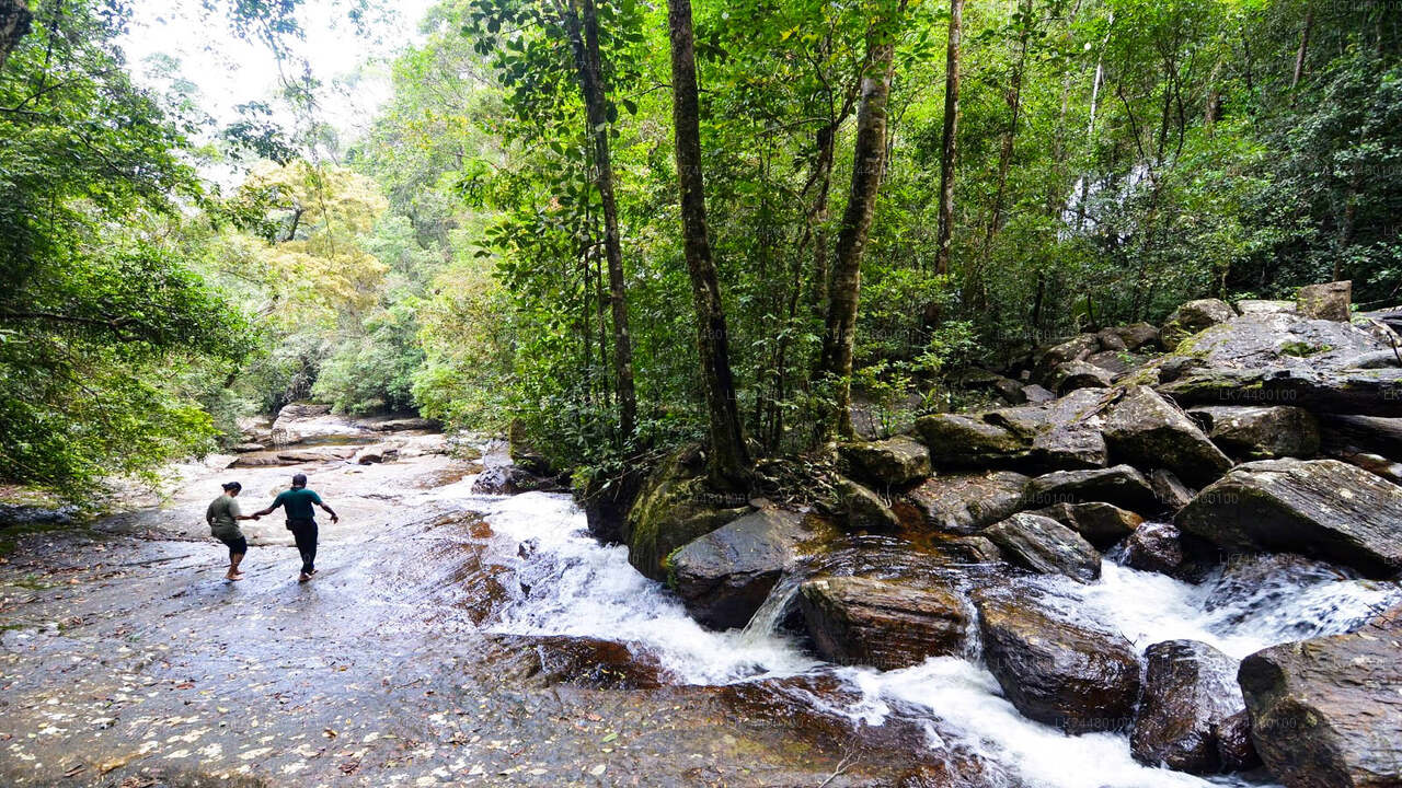 辛哈拉贾雨林步道
