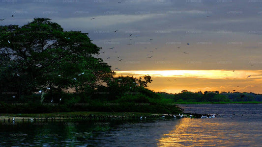 Bundala National Park Safari from Tissamaharama