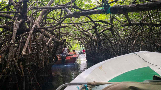 Madu River Boat Safari