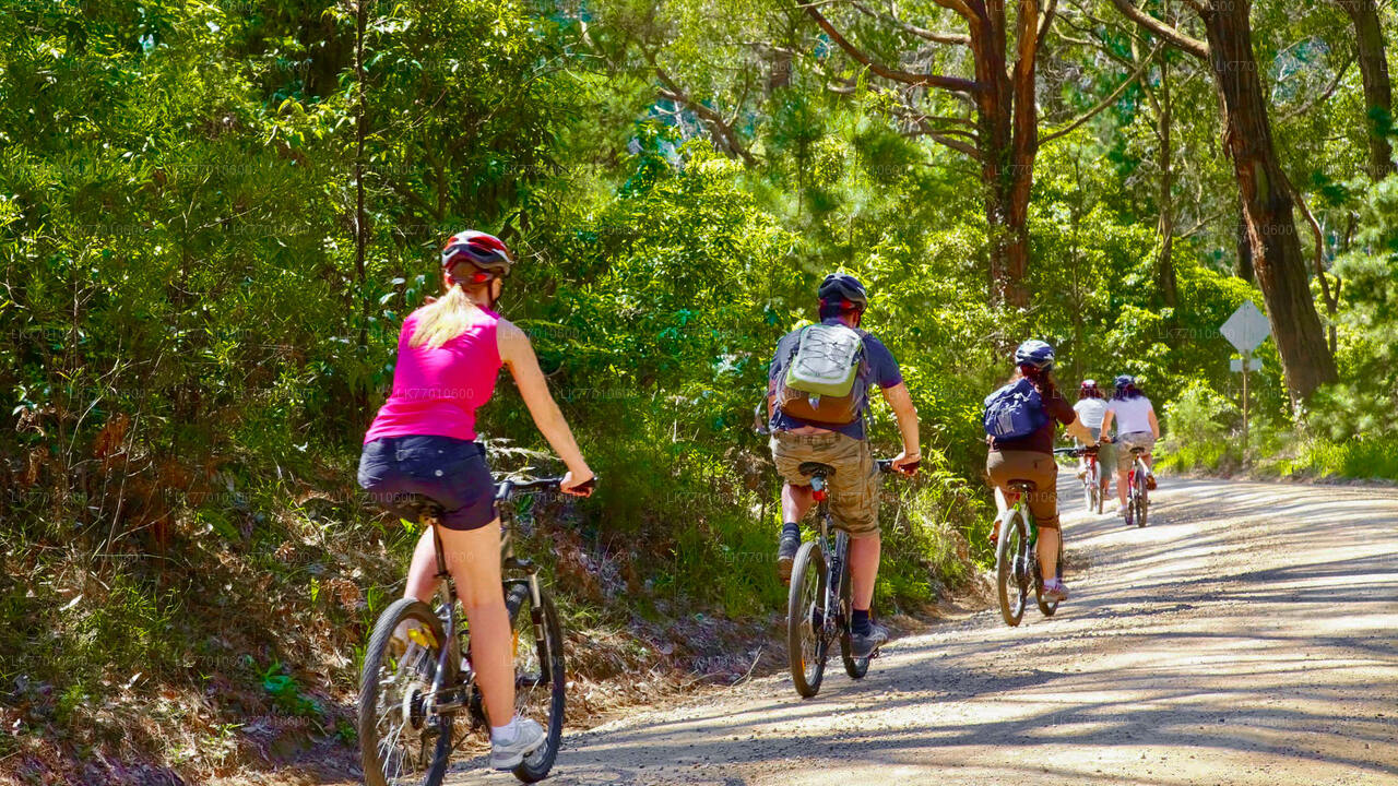 Urban Jungle Trail Cycling Tour from Colombo