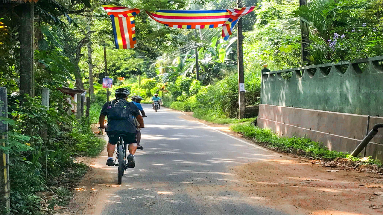 3 从康提出发的寺庙环路自行车之旅