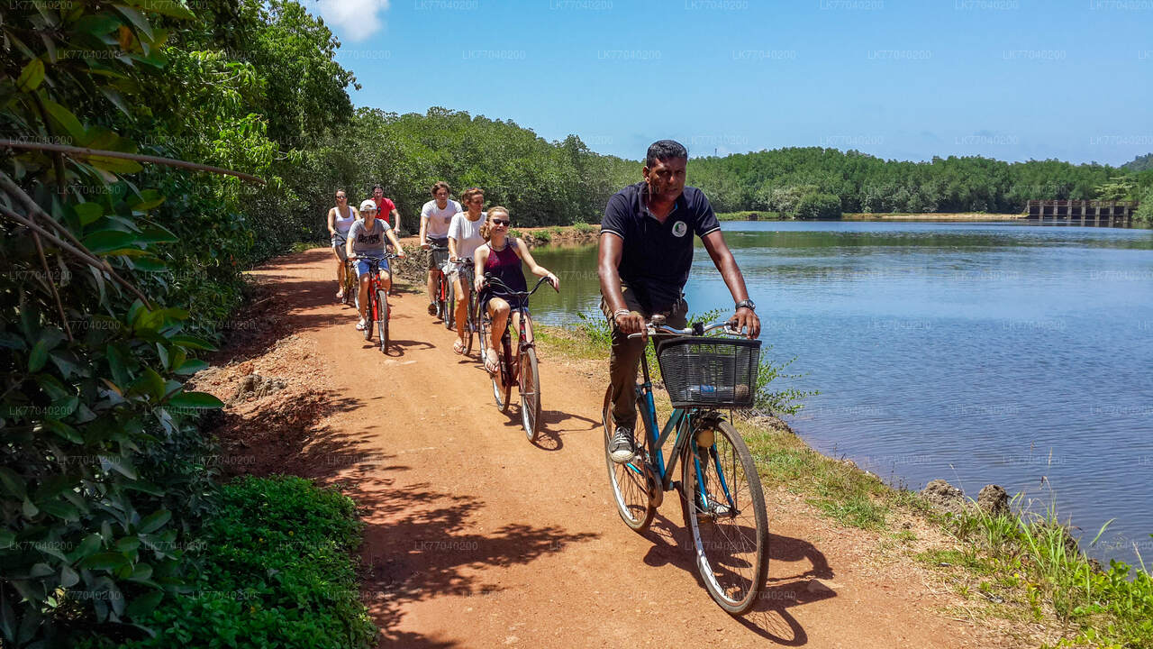 Countryside by Bicycle from Galle