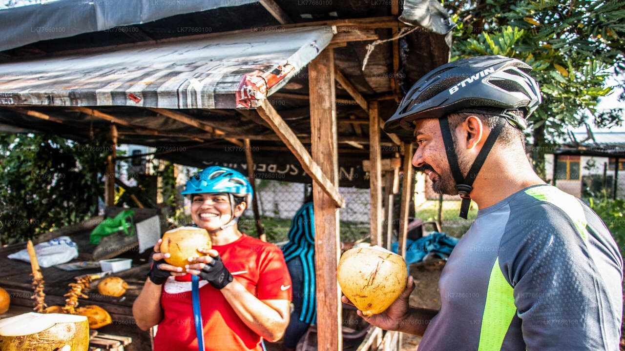 Kingdom Trail Cycling Tour from Mount Lavinia