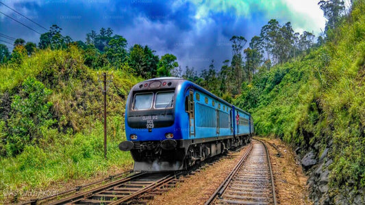 乘坐科伦坡到巴杜拉的火车（列车编号：1005 “Podi Menike”）