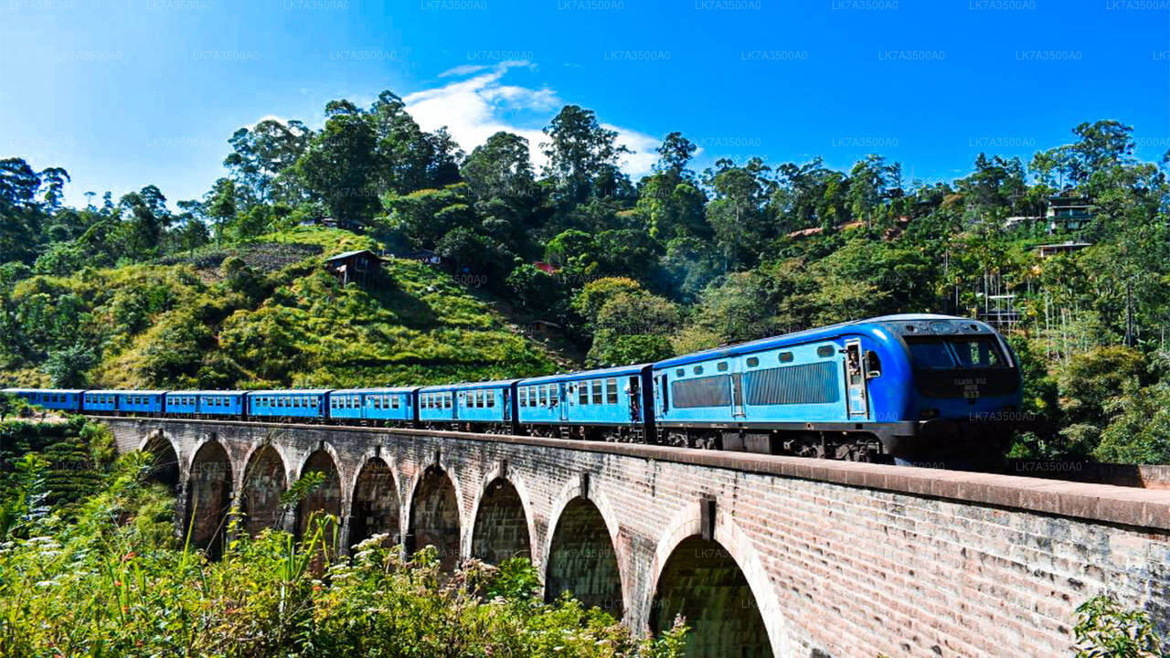 乘坐 Kandy 到 Ella 的火车（火车号：1005 “Podi Menike”）