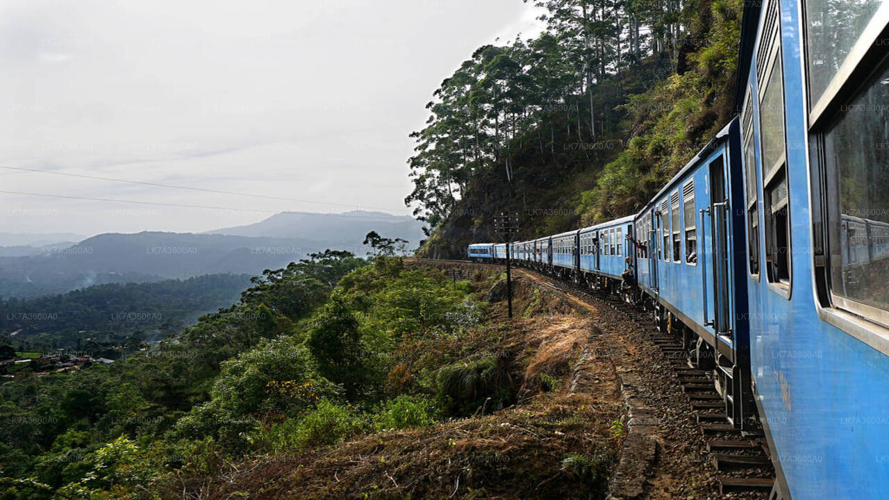 乘坐康提到巴杜拉的火车（列车编号：1005 “Podi Menike”）