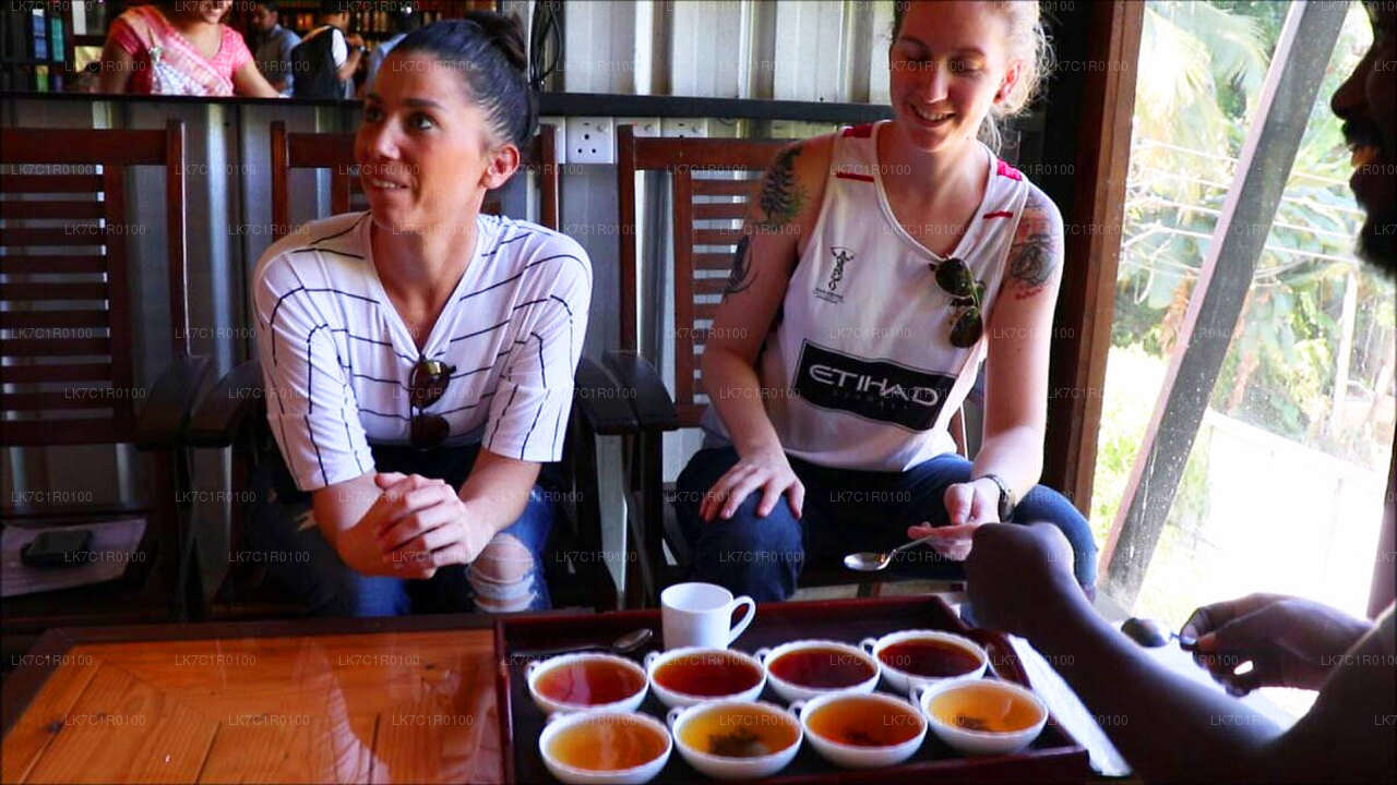 努瓦拉埃利亚的锡兰茶品鉴会
