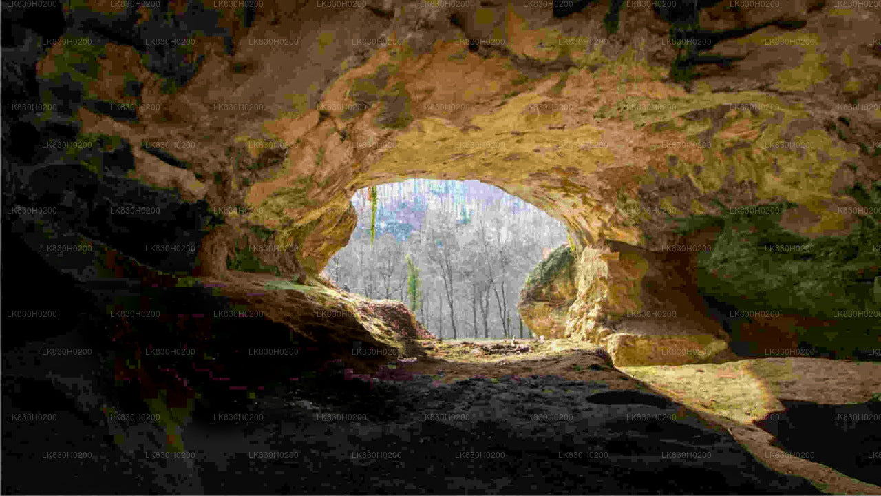 从科伦坡探索贝利莱纳洞穴