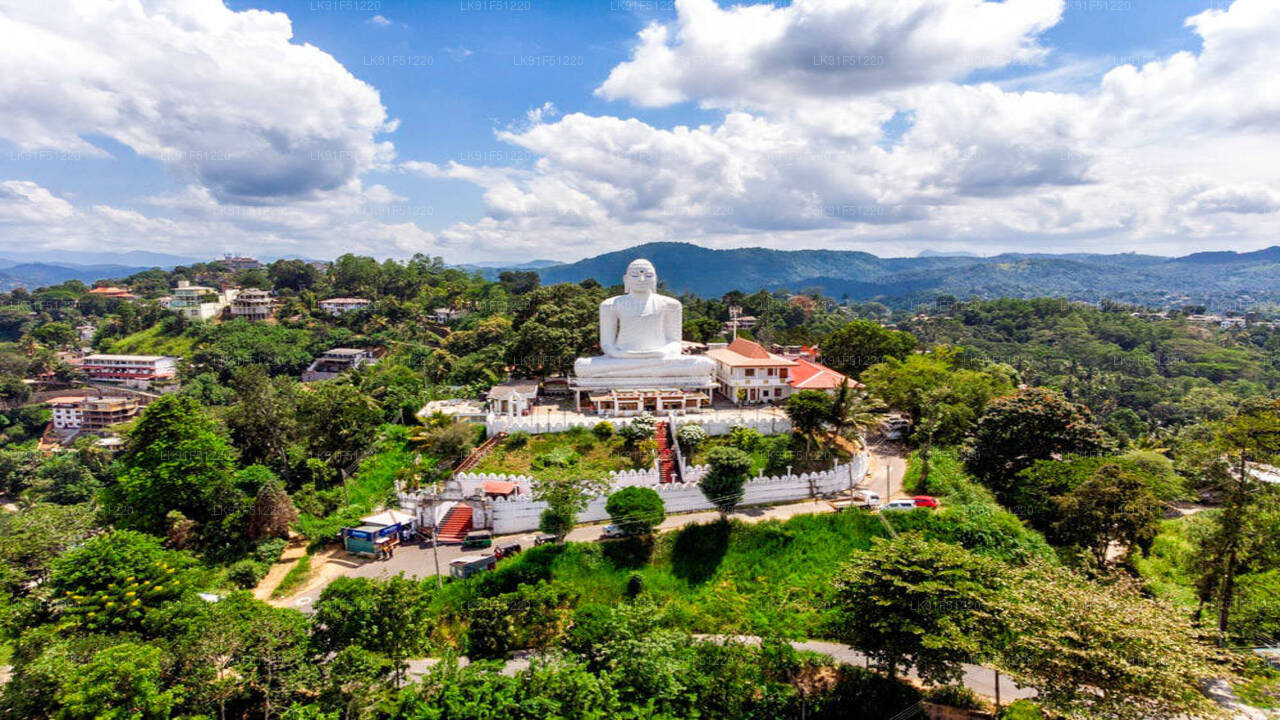 Discover Kandy by Helicopter from Koggala