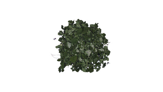 Lakpura Dehydrated Moringa Oleifera Leaves (100g)