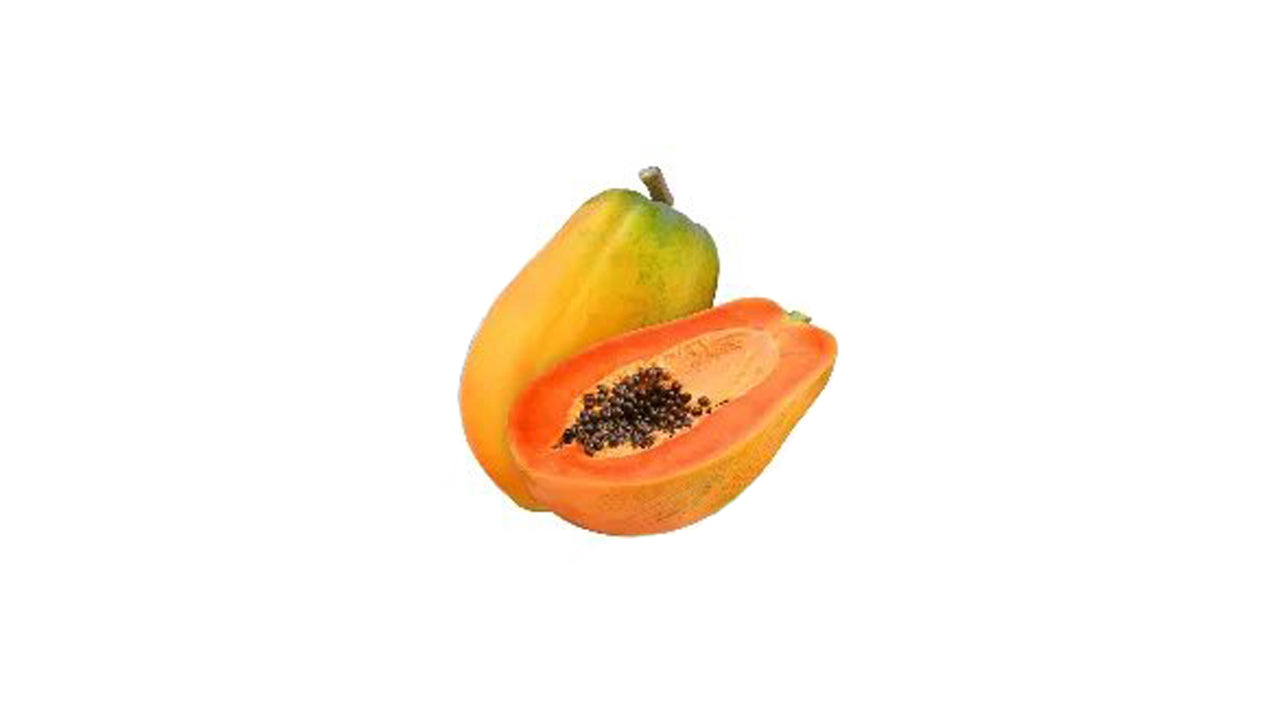 Red Lady Papaya (රෙඩ් ලේඩි ගස්ලබු) Fruit Plant